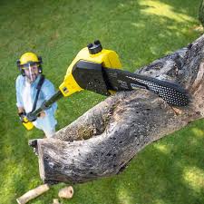 Best Lawn Edging Services  in Southside, AR